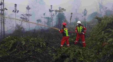 PERKUAT SINERGI PADAMKAN KARHUTLA, PETROCHINA AKTIF DI TANJAB BARAT DAN TANJAB TIMUR